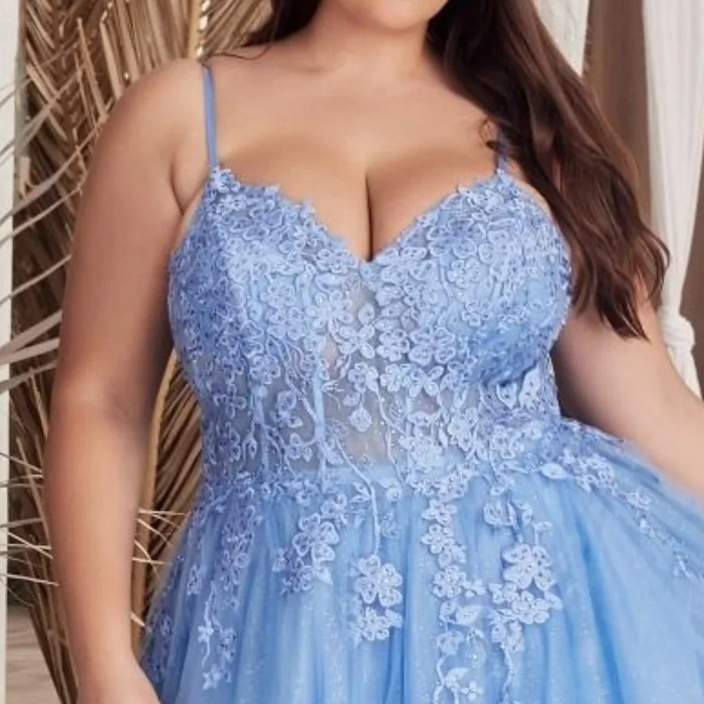 NEW A-LINE SLEEVELESS TULLE DRESS EMBROIDERED WITH FLORAL LACE DETAILS CD C148C_4